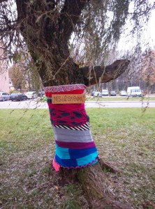 IMG_20161028_102918